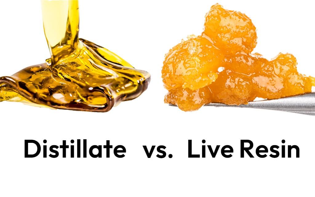 Live Resin vs. Distillate